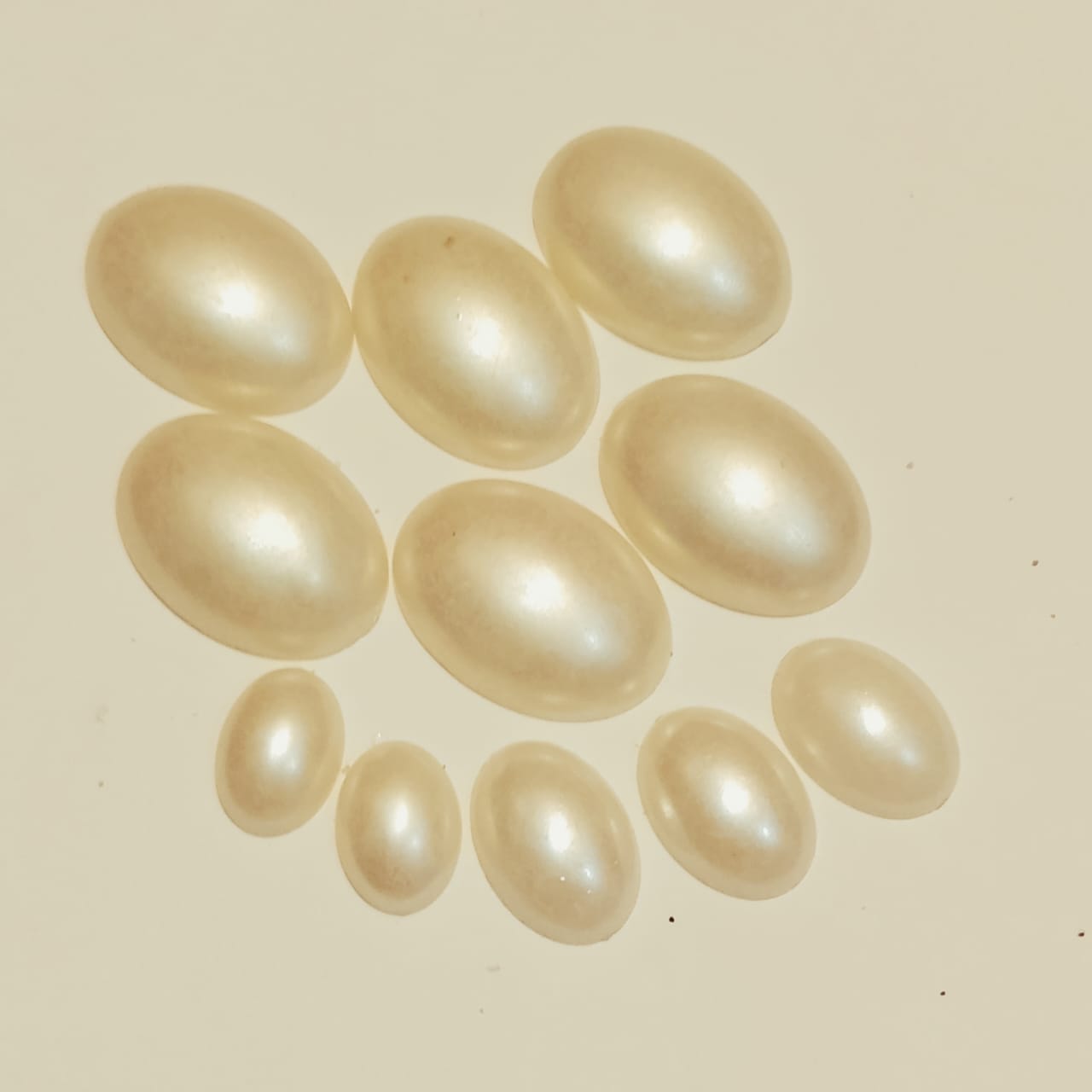 Amber (seashell) | Light Golden | Cabochon cutt