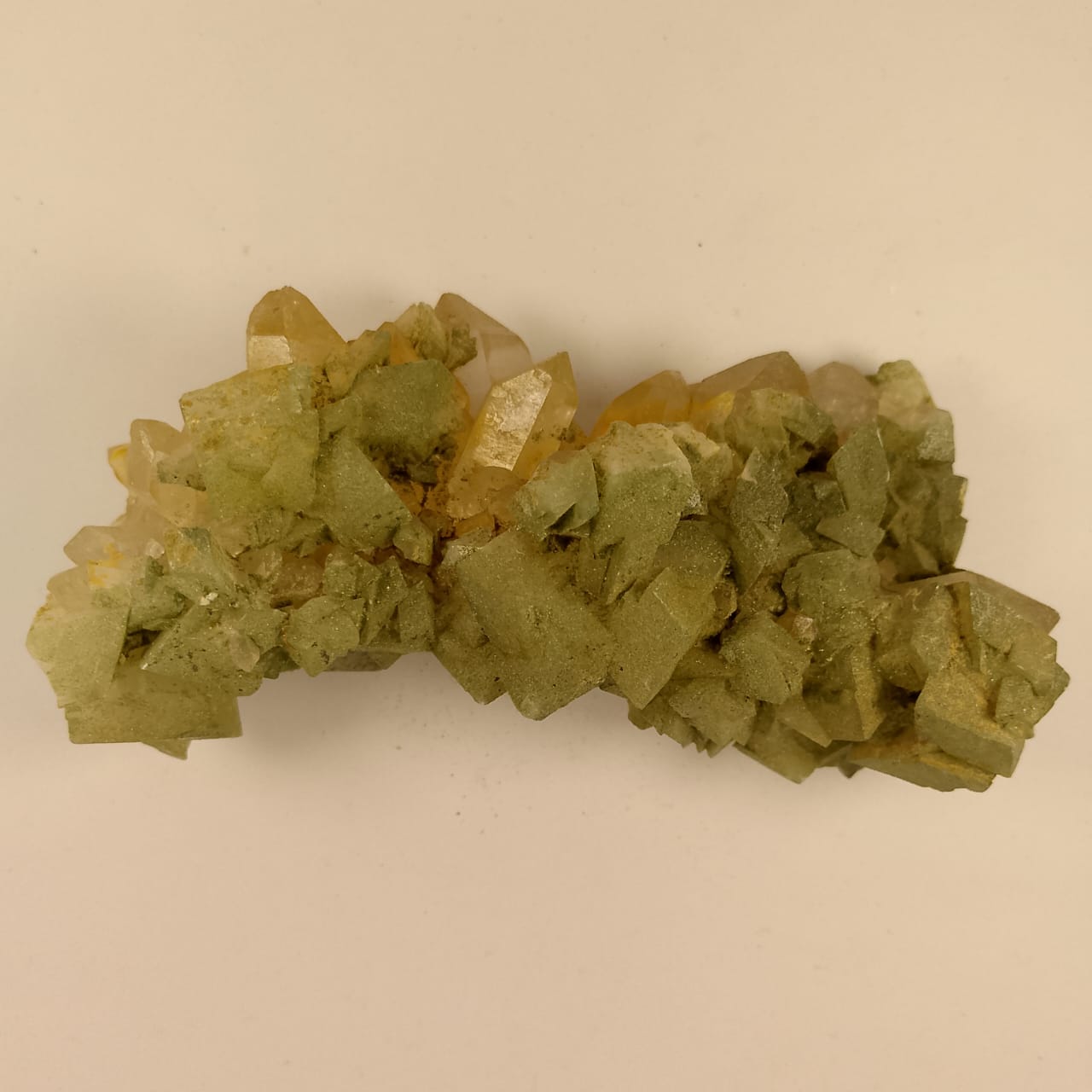 Golden Specimen 15 | 1350 ct | Rs 50 per ct.