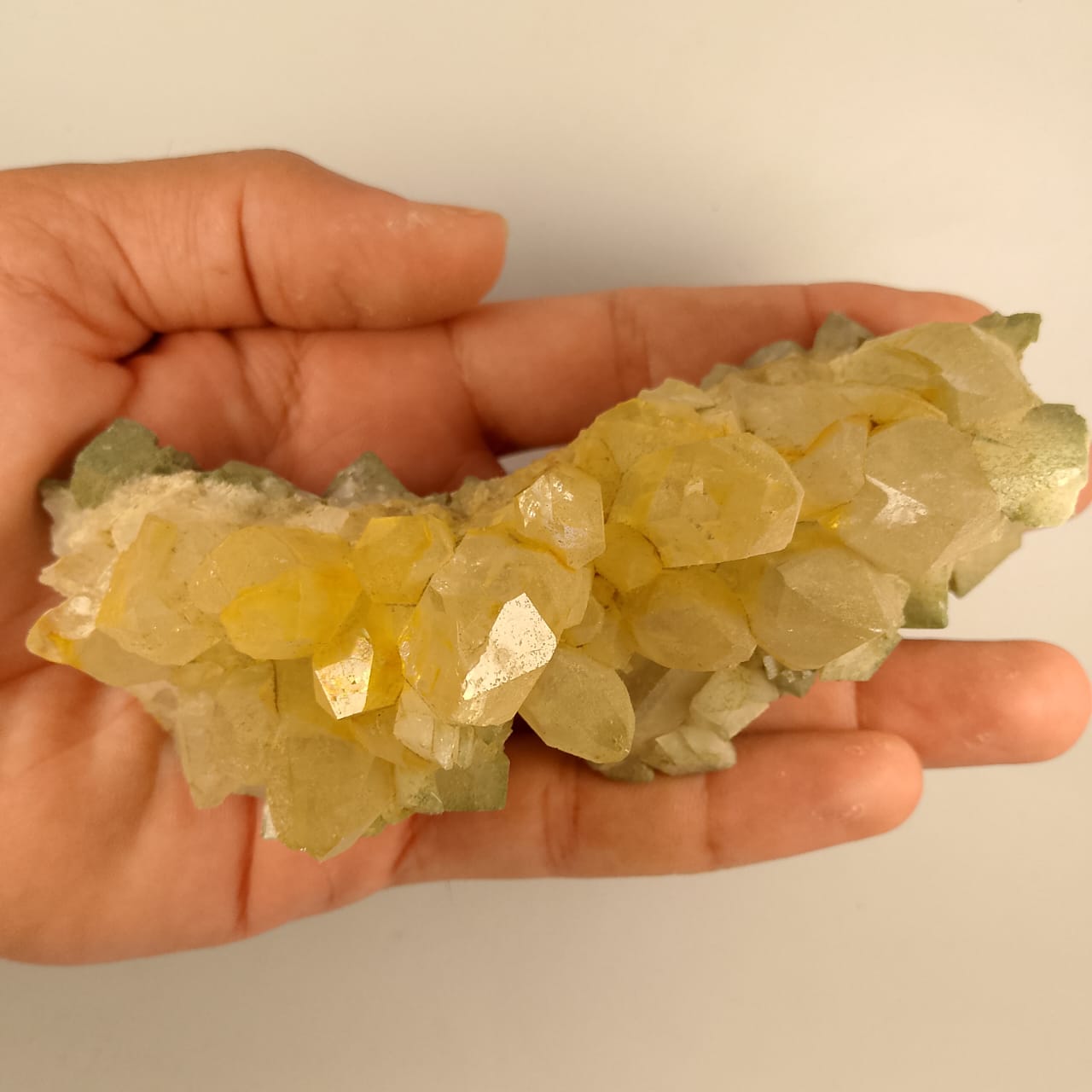 Golden Specimen 15 | 1350 ct | Rs 50 per ct.