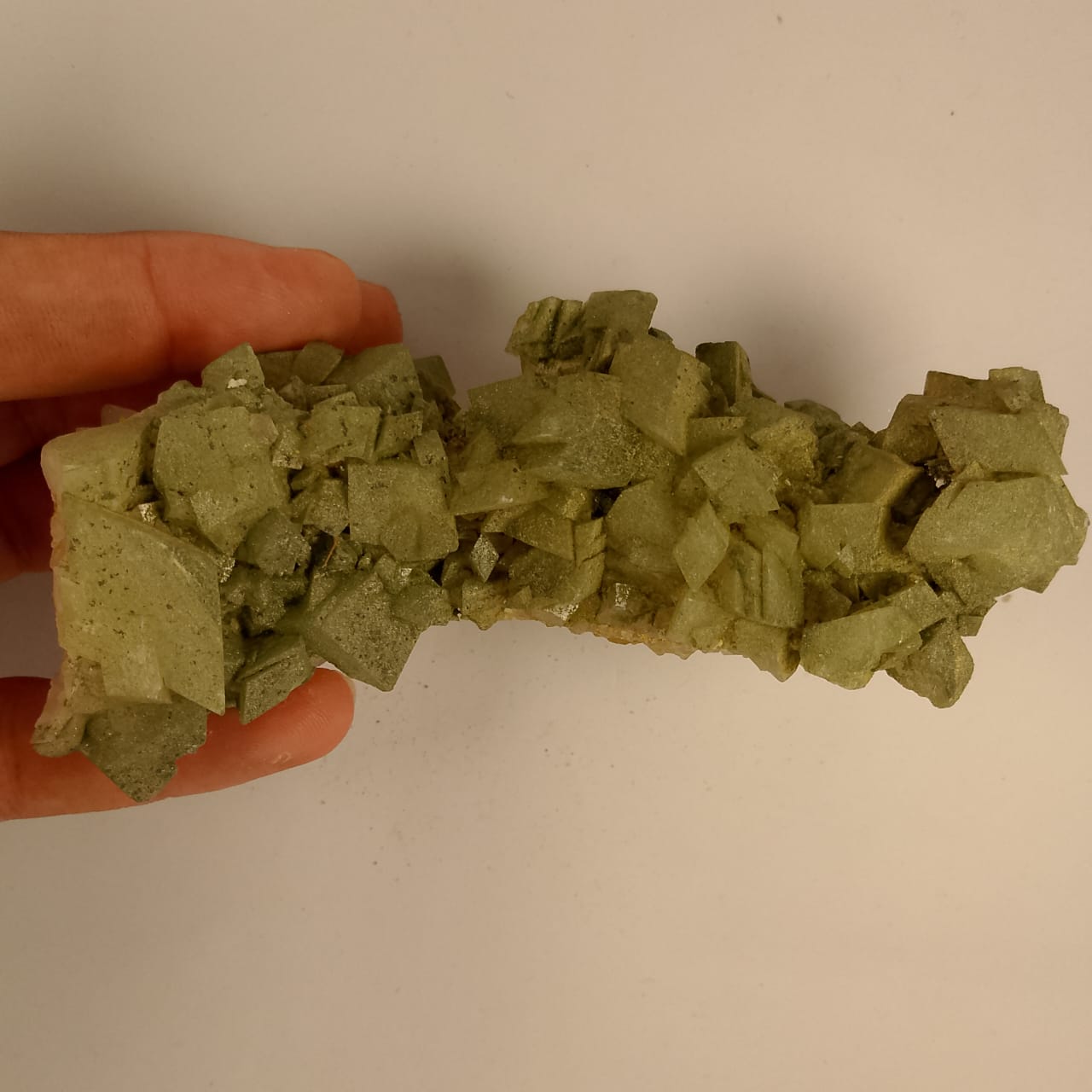 Golden Specimen 15 | 1350 ct | Rs 50 per ct.