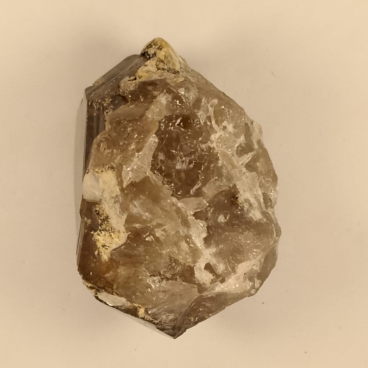 Smoky Quartz Crystal Natural Specimen | 1010 carats | Rs 55 per ct.