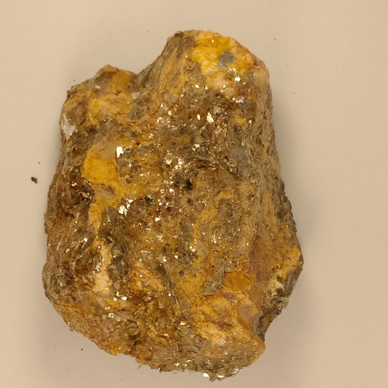 Metamorphic Golden Specimen | 2455 Carats | Rs 35 per ct.