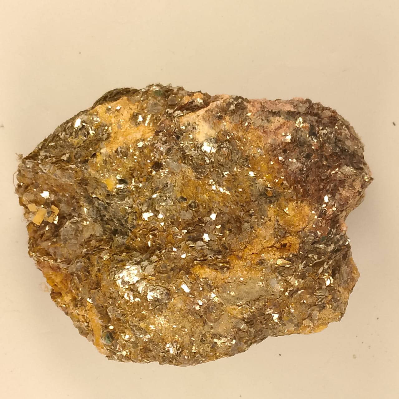 Metamorphic Golden Specimen | 2455 Carats | Rs 35 per ct.