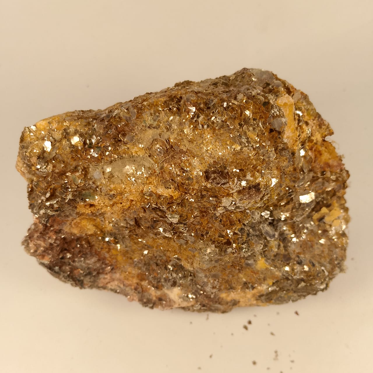 Metamorphic Golden Specimen | 2455 Carats | Rs 35 per ct.