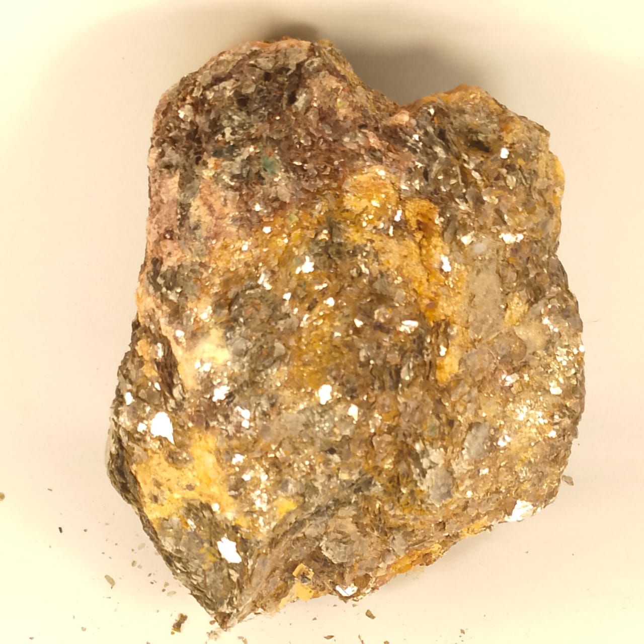 Metamorphic Golden Specimen | 2455 Carats | Rs 35 per ct.