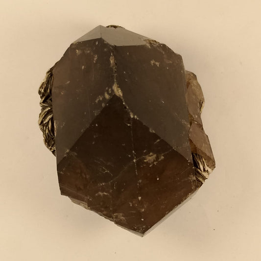 Smoky Quartz Crystal Natural Specimen | 1010 carats | Rs 55 per ct.