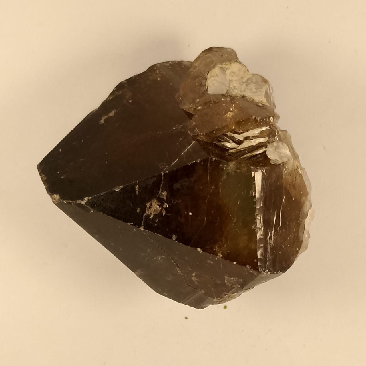 Smoky Quartz Crystal Natural Specimen | 1010 carats | Rs 55 per ct.