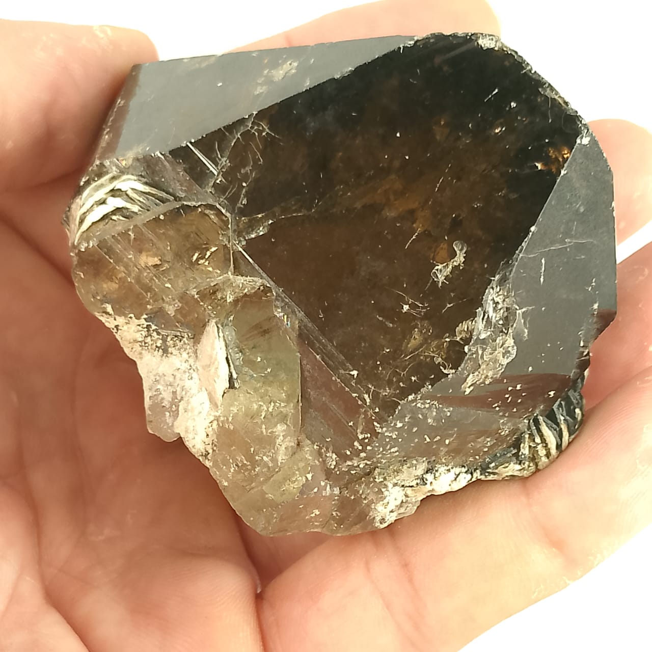 Smoky Quartz Crystal Natural Specimen | 1010 carats | Rs 55 per ct.