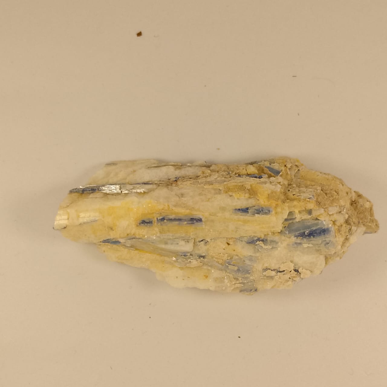 Specimen 22 | 825 carats | Rs 35 per ct.